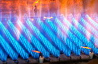 Llannefydd gas fired boilers
